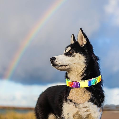 Dog Collar, LGBT for Pride Month Durable Metal Pet Collar Rainbow Girl Boy Dog Collar Adjustable for Small Medium Large Dogs