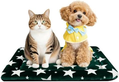 Dog Bed Mat – Soft & Comfortable Dog Kennel Pad for Crate – Durable Crate Bed & Mat for Dogs & Cats – Ideal for Crate, Kennel, and Home Use (Big&Little Stars Green, S(24"*18"*1.5"))