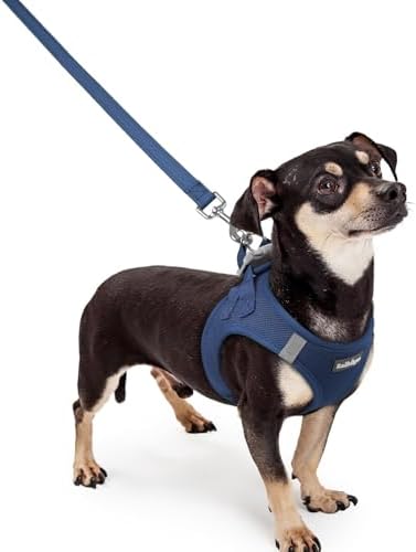 rabbitgoo Dog Harness Small Sized and Leash Set, Step-in Puppy Pet Vest