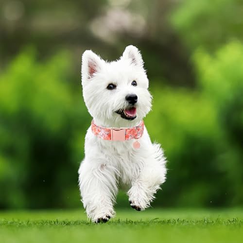Dog Collar for Summer,Orange Flower Dog Collar,Cotton Puppy Collar with Adjustable Buckle for Small,Medium,Large Girl Boy Dog