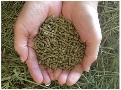 Small Pet Select Guinea Pig Food Pellets, High Fiber Timothy, 20 lb