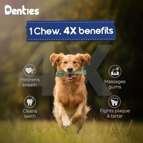 Dental Chews for Dogs – Vet Recommended Dental Dog Treats for Large Dogs(Up to 50 lbs), Cleans Teeth, Freshens Breath, Reduce Plaque & Tartar,Mint Chicken & Beef Recipe,16oz Pack,10 Count