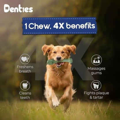 Dental Chews for Dogs – Vet Recommended Dental Dog Treats for Large Dogs(Up to 50 lbs), Cleans Teeth, Freshens Breath, Reduce Plaque & Tartar,Mint Chicken & Beef Recipe,16oz Pack,10 Count