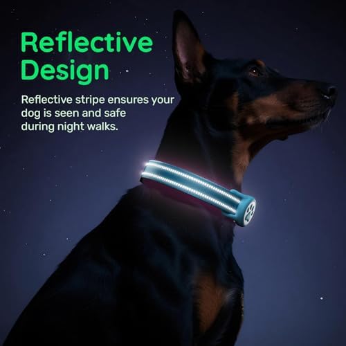 Premium Airtag Dog Collar，with IP68 Waterproof AirTag Holder,Blue,XL