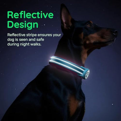 Premium Airtag Dog Collar，with IP68 Waterproof AirTag Holder,Blue,XL