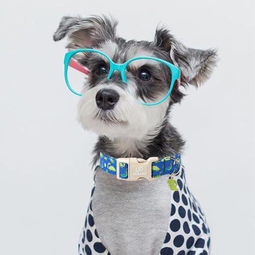 Summer Dog Collar-Dinosaur Dog Collars with Dino Eggs-Blue Summer Pet Dollar-Soft, Adjustable & Stylish for Small/Medium Dogs