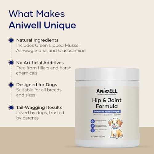 Hip and Joint Supplement for Dogs with Glucosamine Chondroitin MSM and Ashwagandha | Dog Joint Supplement Soft Chews for Mobility and Cartilage Support | Pack of 3