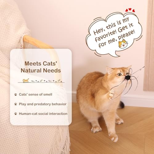 Retractable Cat Wand Toy with 4 Bug-Inspired Feather Refills