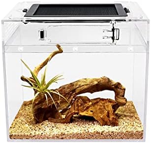 Reptile Growth mini Reptile Terrarium,8" x 8"x 8" Reptile Tank with Full View Visually Appealing，for Insect，Fish，Tarantula，Hermit Crab，Jumping Spider，Iguana，Tortoise，Leopard Gecko，Frog，Bearded Dragon