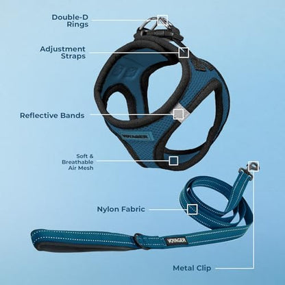 Best Pet Supplies Voyager Step-in Air All Weather Mesh Harness and Reflective Dog 5ft Leash Combo with Neoprene Handle, for Small, Medium and Large Breed Puppies - Blue/Black Trim, X-Large