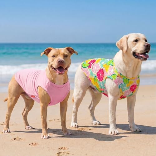 KYEESE 2Pack Dog Shirts for Medium Large Dogs Breathable Mesh Tank Top