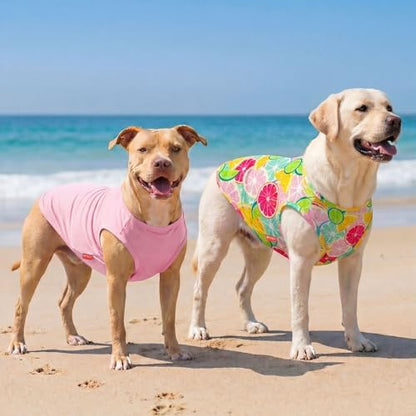 KYEESE 2Pack Dog Shirts for Medium Large Dogs Breathable Mesh Tank Top