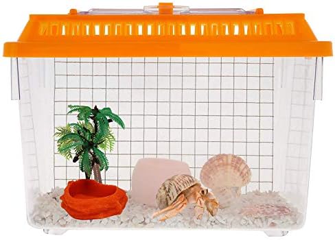 Needzo Hermit Crab Mini Swimming Pool with Palm Tree Decorations, Neon Colored Tank Habitat Accessory for Water, 5 Inches