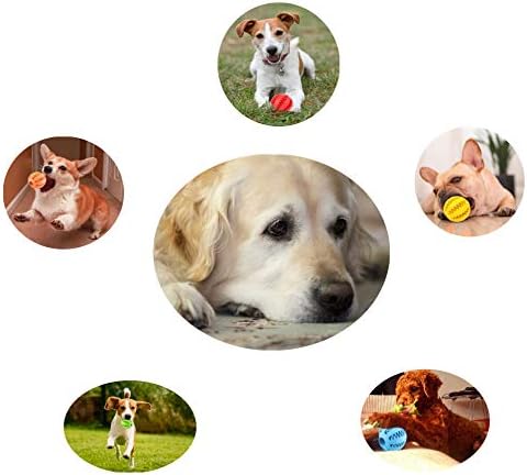 Sunglow 2 Pack Teething Toys Ball for Small/Medium/Large Dogs and Puppies, Nontoxic, Cat, Bite Resistant, Food Treat Feeder, Chew Tooth Cleaning Exercise Game, IQ Training
