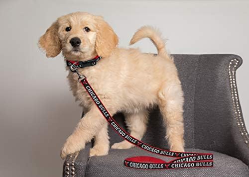 NBA Chicago Bulls Dog Leash, Size Small. Heavy-Duty Metal Swivel Buckle Pet Leash