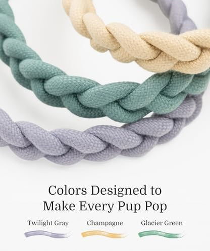 Fei & Eve Hand-Braided Martingale Dog Collar