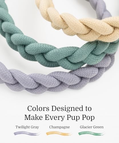 Fei & Eve Hand-Braided Martingale Dog Collar