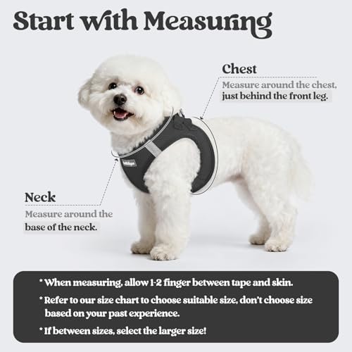 rabbitgoo Dog Harness Small Sized and Leash Set, Step-in Puppy Pet Vest