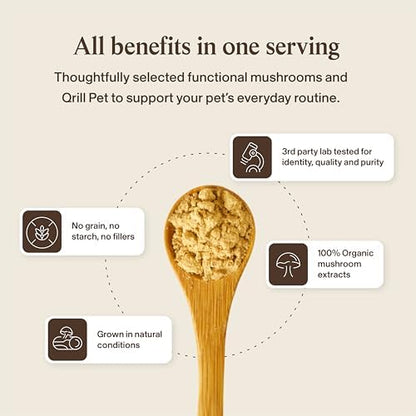 Real Mushrooms Lion’s Mane with Qrill Pet - Lion's Mane for Dogs and Cats with Krill Meal, Beta-Glucan Rich Mushroom Extracts for Immune, Digestion, and Brain Support for Puppies and Kittens, 75g