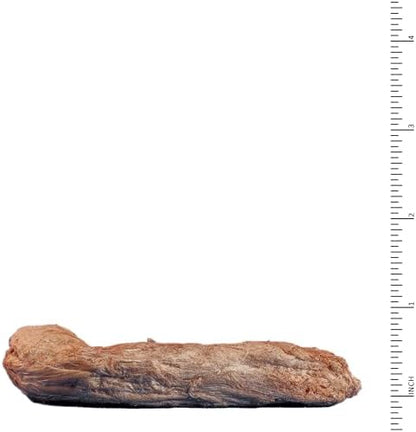 Archetype Treats Chicken Necks 5.5 oz. Bag