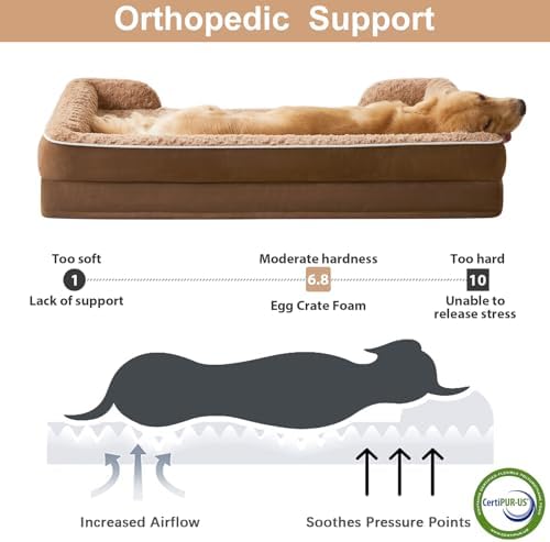 WNPETHOME Orthopedic Washable XXL Dog Bed for Senior Dog Cozy Sleep