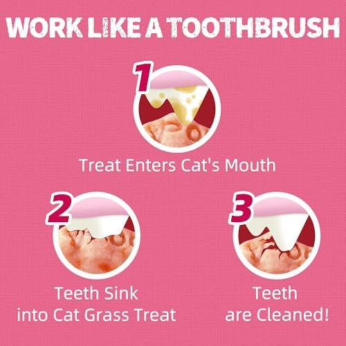 Just Try 36 OZ Urinary Tract Cat Treats for Indoor Cats