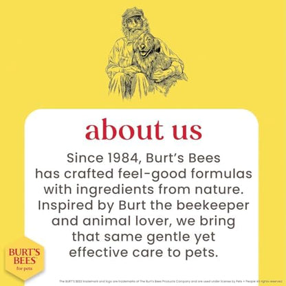 BURT'S BEES FOR PETS Deodorizing Dog Spray, Apple & Rosemary, 10 Oz, 2-Pk