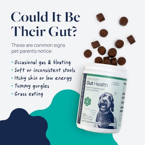 Veterinary Formula Smart Vitality Gut Health Soft Chews for Dogs, 120 Count