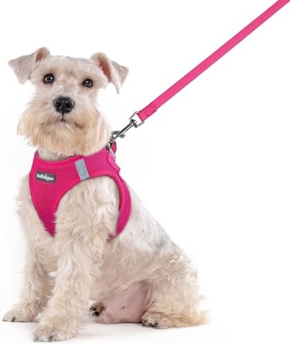 rabbitgoo Dog Harness Medium Sized and Leash Set, Step-in Puppy Pet Vest