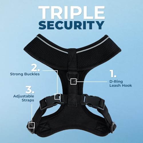 Best Pet Supplies Voyager Aerolite Over the Head Dog Harness, No Pull Breathable Air Mesh Vest, Quick Dry with Reflective Stitching, Adjustable Escape Resistant Harness - Black, Small