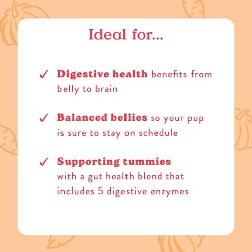 Bocce's Bakery Pumpk'n Spice Soft Dog Treat + Probiotic Supplement Bundle