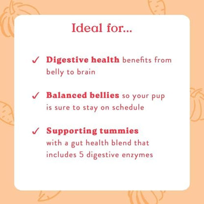 Bocce's Bakery Pumpk'n Spice Soft Dog Treat + Probiotic Supplement Bundle