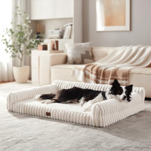 Orthopedic Dog Bed Large 35x25x9.5” Washable Cover Cream