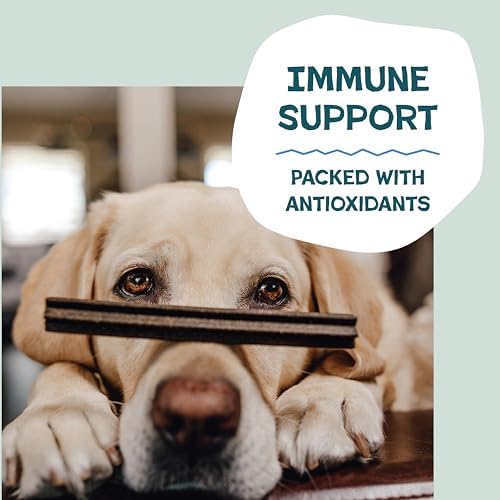 Shameless Pets Blueberry & Mint Dental Chews for Dogs, 32 Chews