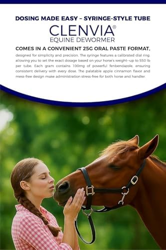 Horse Paste 10% – 25g Syringes – Oral Deworming Paste for Horses of All Ages – Easy-to-Administer Equine Care (Pack of 6)