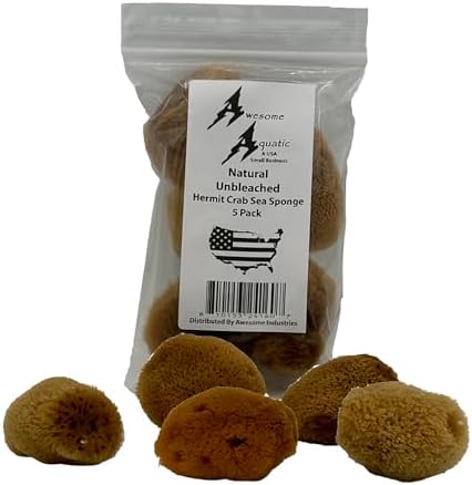 5 Unbleached Natural Hermit Crab Sea Sponges Water Dish Humidity Habitat