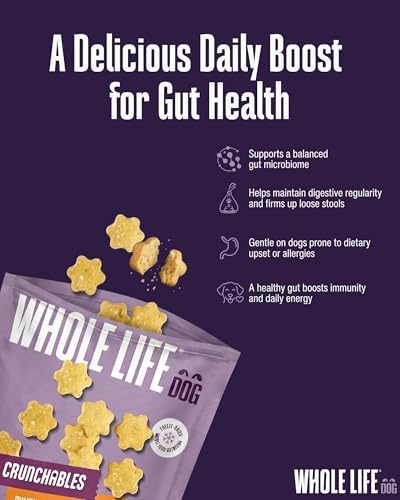 Whole Life Dog – Crunchables Dog Treats for Gut Health & Digestive Support, Constipation Relief, Digestive Health & Immune Support for Sensitive Stomachs, Pumpkin & Yogurt Crunchy Treats