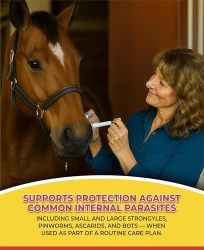 Horse Paste Gel 1.87% – Apple Flavored Oral Syringes – 6.08g Each – Adjustable Weight Markings – for Equine Use (12)
