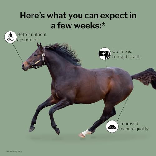 Formula 707 Digestive Health Supplement for Horses, 4 lb – Probiotics