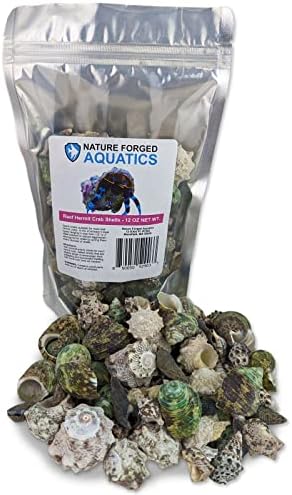 Reef Hermit Crab Shell Mix Spare Shells for Most Saltwater Hermit Crabs 12 OZ 1/2" - 2" Shells