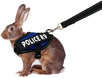 Rabbit Harness with Leash for Bunny Rabbits Cats Small Animals (Blue)