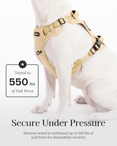 Fei & Eve Classic Dog Harness