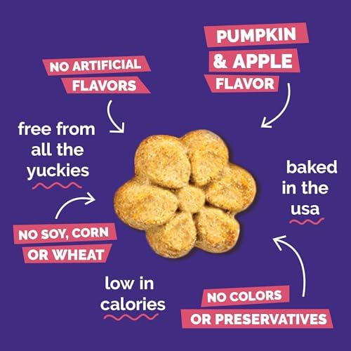 Fruitables Baked Dog Treats, Low Calorie Treats, Pumpkin & Apple, 20oz
