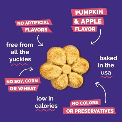 Fruitables Baked Dog Treats, Low Calorie Treats, Pumpkin & Apple, 20oz