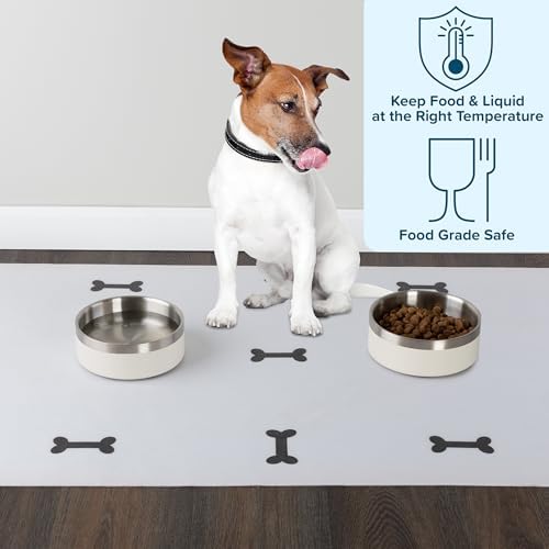 PETMAKER Stainless Steel Dog Bowls, Cream, Set of 2, 32oz/4 Cups
