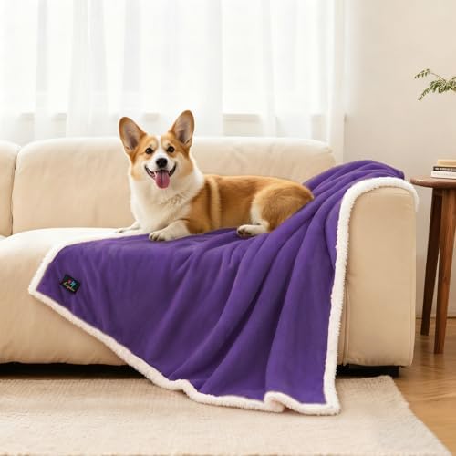 Luciphia Waterproof Bed Blanket Washable,Soft Sherpa Fleece Puppy Reversible Throw Blankets for Medium Large Dog Cat,Furniture Cover Protector Couch from Liquid Pee and Pet Fur,Purple White,65" x 57"