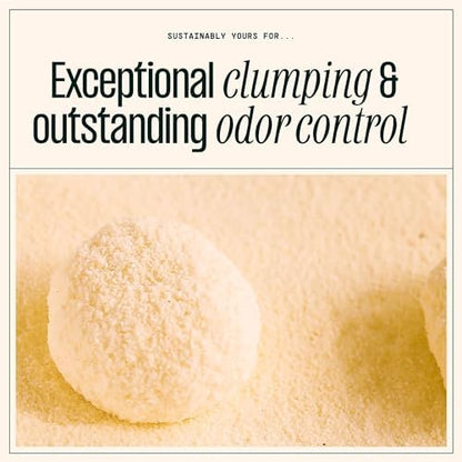Sustainably Yours Natural Cat Litter, Small-Grain Formula, Exceptional Clumping & Odor Control, Virtually No Dust, Soft on Paws, Corn & Cassava Plant-Based, Unscented, 10 lbs