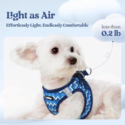rabbitgoo Dog Harness Small Sized and Leash Set, Step-in Puppy Pet Vest