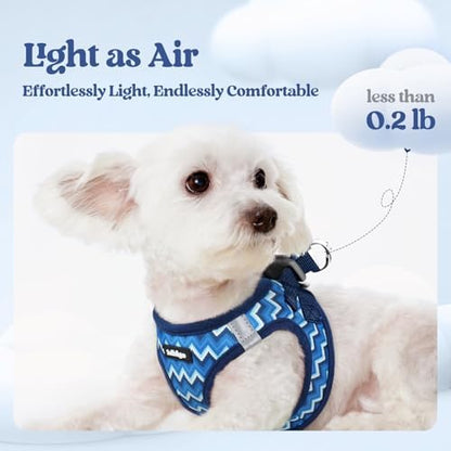 rabbitgoo Dog Harness Small Sized and Leash Set, Step-in Puppy Pet Vest