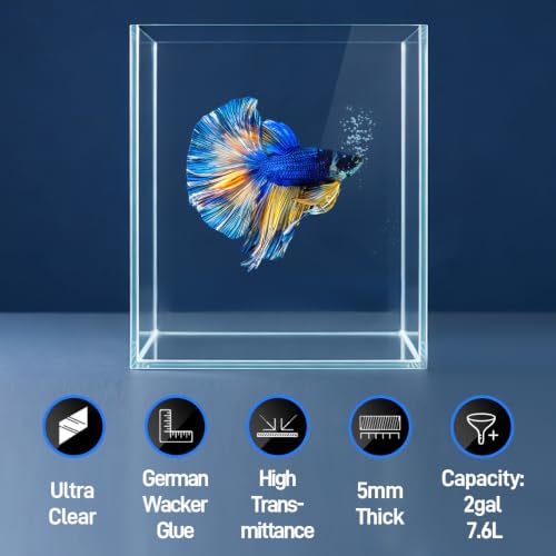 LAQUAL 2 Gallon Fish Tank Starter Kit with Fish Net, 1 Water Changer Siphons & 2 Cleaning Cloth, Crystal Clear Glass Fish Tank, Small Fish Tank/Aquarium for Betta & Goldfish, Nice Home Décor